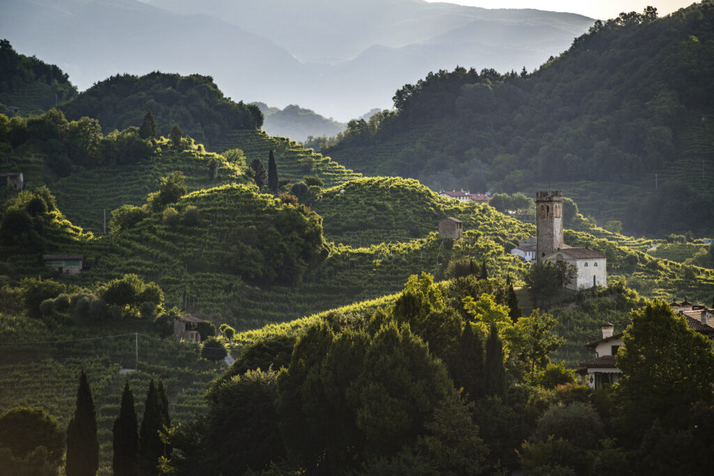 Le-colline-del-Conegliano-Valdobbiadene-Prosecco-riconosciute-Patrimonio-Unesco_photo-credits-Arcangelo-Piai